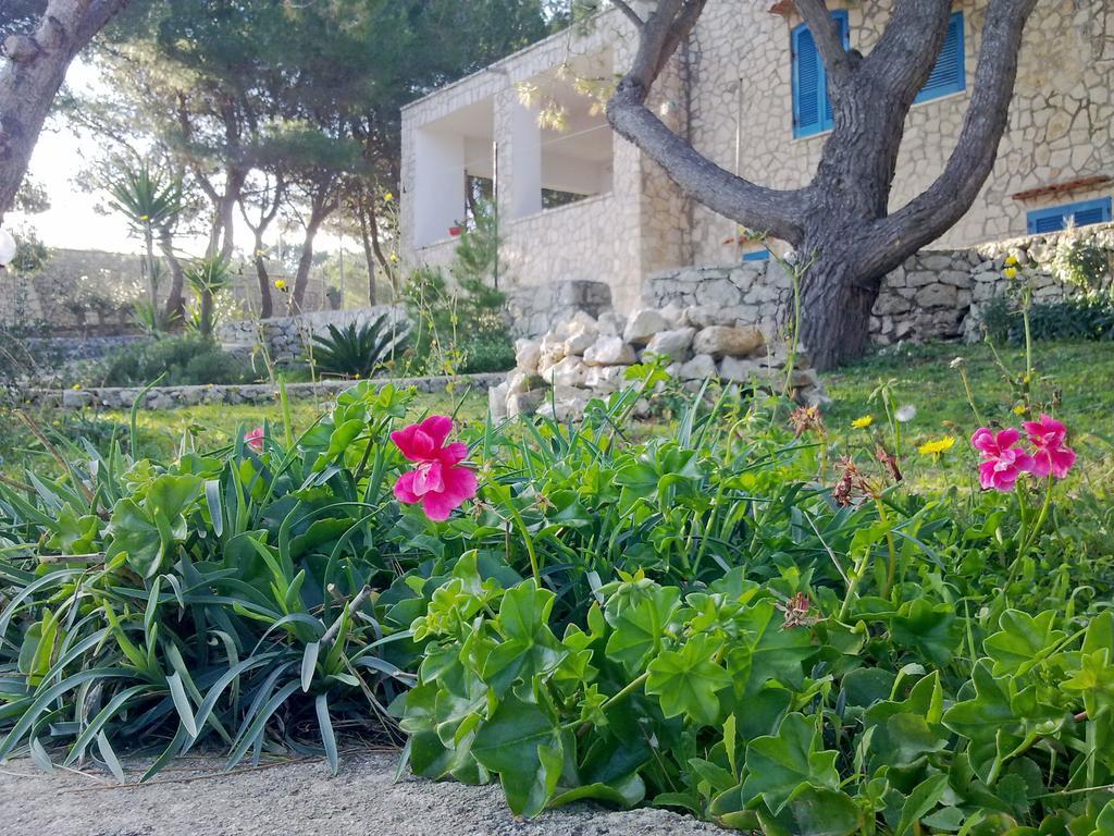 Villa Aquarium Gagliano del Capo Extérieur photo
