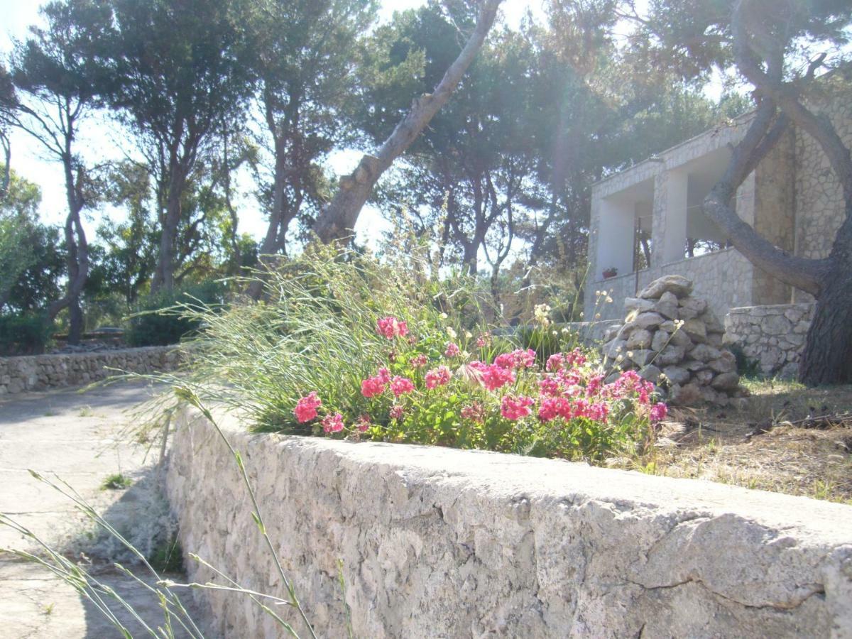 Villa Aquarium Gagliano del Capo Extérieur photo
