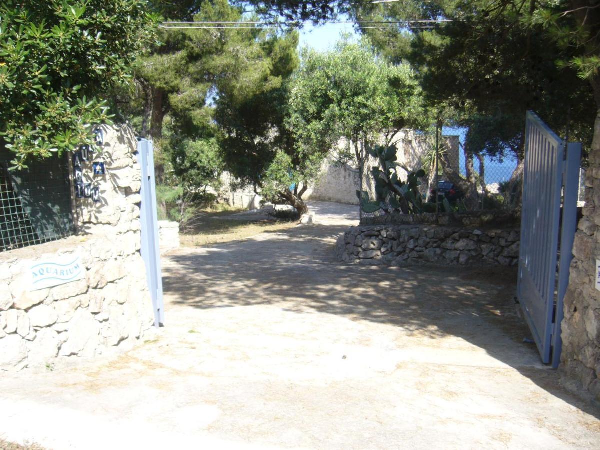 Villa Aquarium Gagliano del Capo Extérieur photo